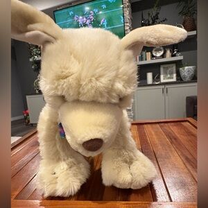 Build A Bear Golden Retriever Jaquie Plush. American Kennel Club